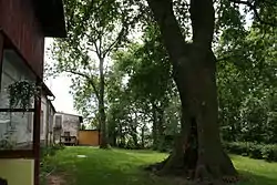 Old manor park in Łyniec