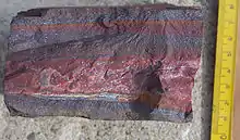 Image 11A banded iron formation from the 3.15&nbsp;Ga Moodies Group, Barberton Greenstone Belt, South Africa. Red layers represent the times when oxygen was available; gray layers were formed in anoxic circumstances. (from History of Earth)