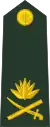Major general(Bengali: মেজর জেনারেল, romanized:&nbsp;Mējara jēnārēla)(Bangladesh Army)