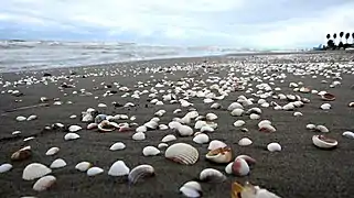 Salman Shahr beach in August 2011