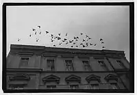 Untitled, 1976, 35&nbsp;mm film