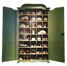 Image 14An early 18th-century German Schrank with a traditional display of corals, from the Naturkundemuseum, Berlin