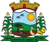 Official seal of Chapadão do Lageado