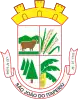 Official seal of São João do Itaperiú