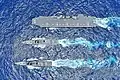 JS Akebono, JS&nbsp;Murasame and JS&nbsp;Izumo on 26 July 2019.