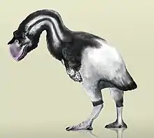 Dromornis stirtoni was the largest fowl, weighing up to 650&nbsp;kg (1,430&nbsp;lb).