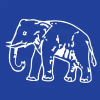 Bahujan Samaj Party Flag