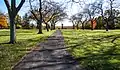 A path at Fallen Timbers Battlefield
