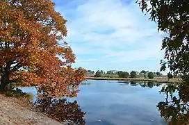 Nature Park, Maasduinen