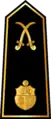 Colonel major(Arabic: عميد, romanized:&nbsp;Amid)(Tunisian Army)