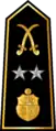 Général de division(Arabic: فريق, romanized:&nbsp;Fariq)(Tunisian Army)