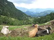 Hiking near Lepenatka and Rogatec