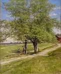 Crack Willows, 1897