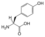 L-Tyrosine(Tyr&nbsp;/&nbsp;Y)