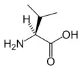 L-Valine(Val&nbsp;/&nbsp;V)