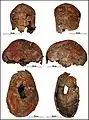 Burial 9 - Cranium in different views. Note the application of red pigment.
