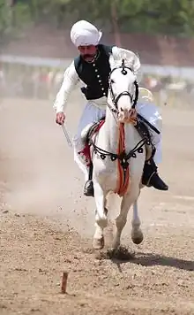 Malik Ata Muhammad Khan at Horse and Cattle Show, Ranger Ground Lahore 2012