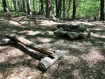 Nepaug State Forest's backpacking camping area—rock campfire ring and very rustic log bench.