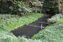 A small river surrounded by greenery, with trees on the far side