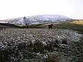 Pendle from Cross Lane in winter
