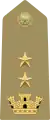 Italian Army(Tenente colonnello)