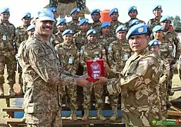 Multiple examples of the Indonesian four-colour variant of desert DPM