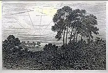 Landscape with trees and sun