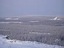 The taiga in the river valley near Verkhoyansk, Russia, at 67°N, experiences the coldest winter temperatures in the northern hemisphere, but the extreme continentality of the climate gives an average daily high of 22&nbsp;°C (72&nbsp;°F) in July