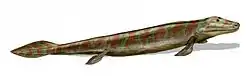 Image 73Tiktaalik, a fish with limb-like fins and a predecessor of tetrapods. Reconstruction from fossils about 375&nbsp;million years old. (from History of Earth)