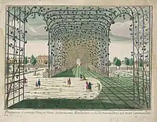 Trellis arcade supporting a vine in French India