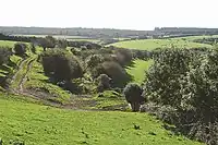 Treneglos - towards Treskellow