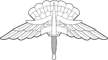 Military Freefall Parachutist Badge