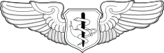 Flight Nurse Badge
