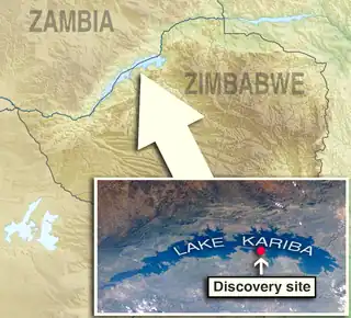 Discovery&nbsp;site is located in Zimbabwe