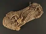 Sandal from 7001100. Source: National Park Service